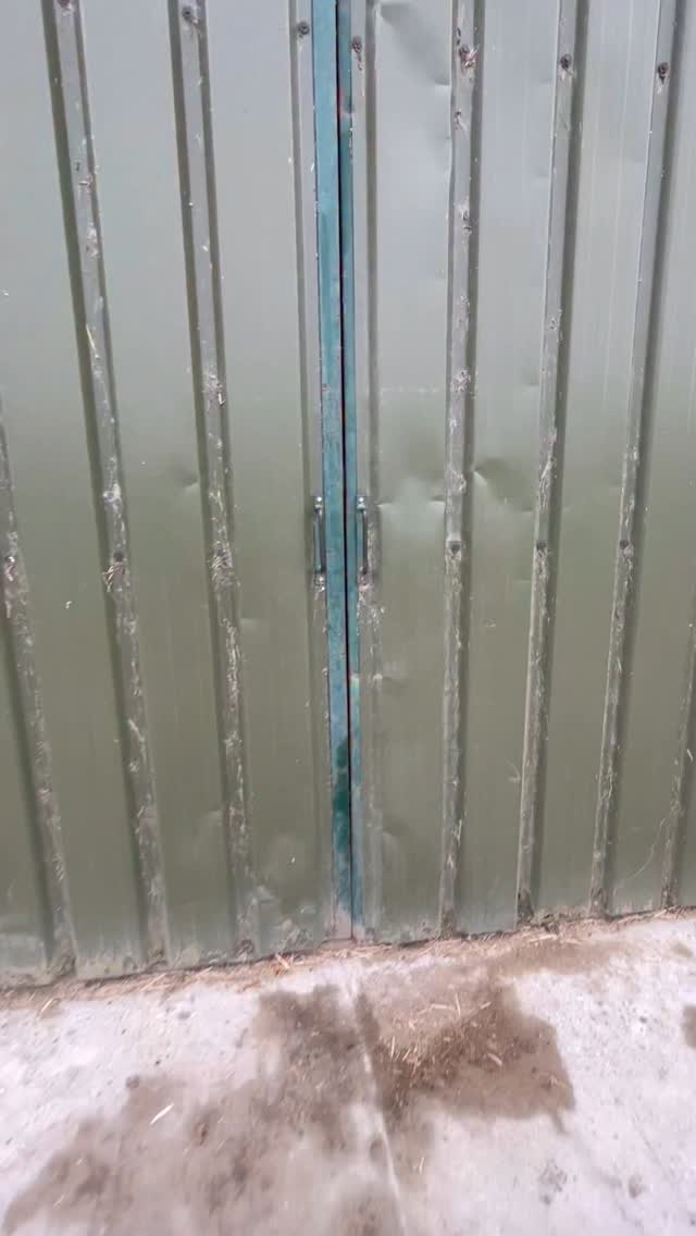 🐥 🦃 They’re here!🐥 🦃
All of our turkey chicks are here and settled in, we keep them in the small rings while they’re small and then let them out into the barn and outside as they get bigger!