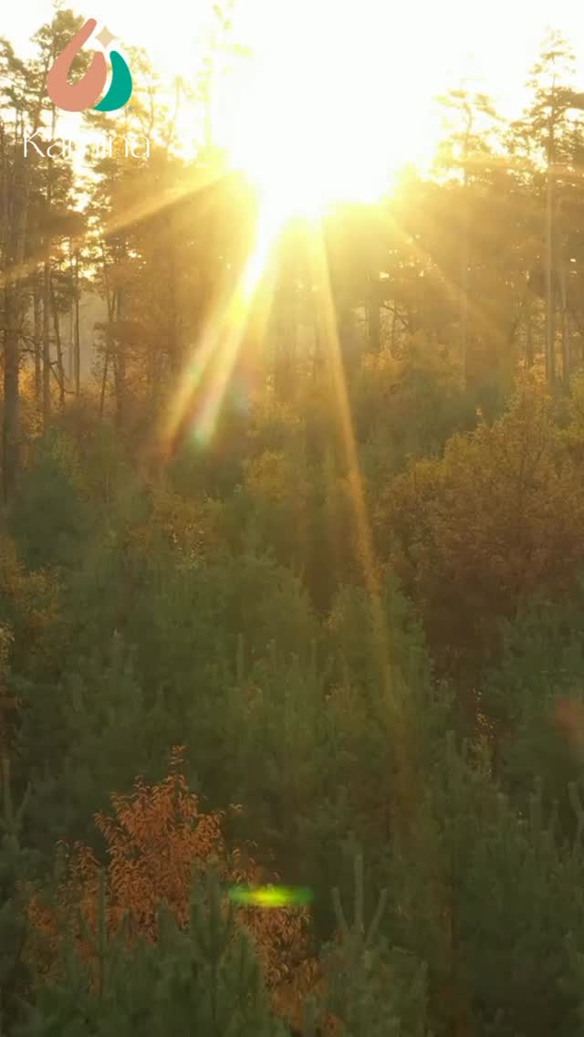 En lo simple está nuestra verdad. La felicidad es un estado del ser, no se busca, es parte de nosotros
#coachingholistico #felicidad #coachingsesiones