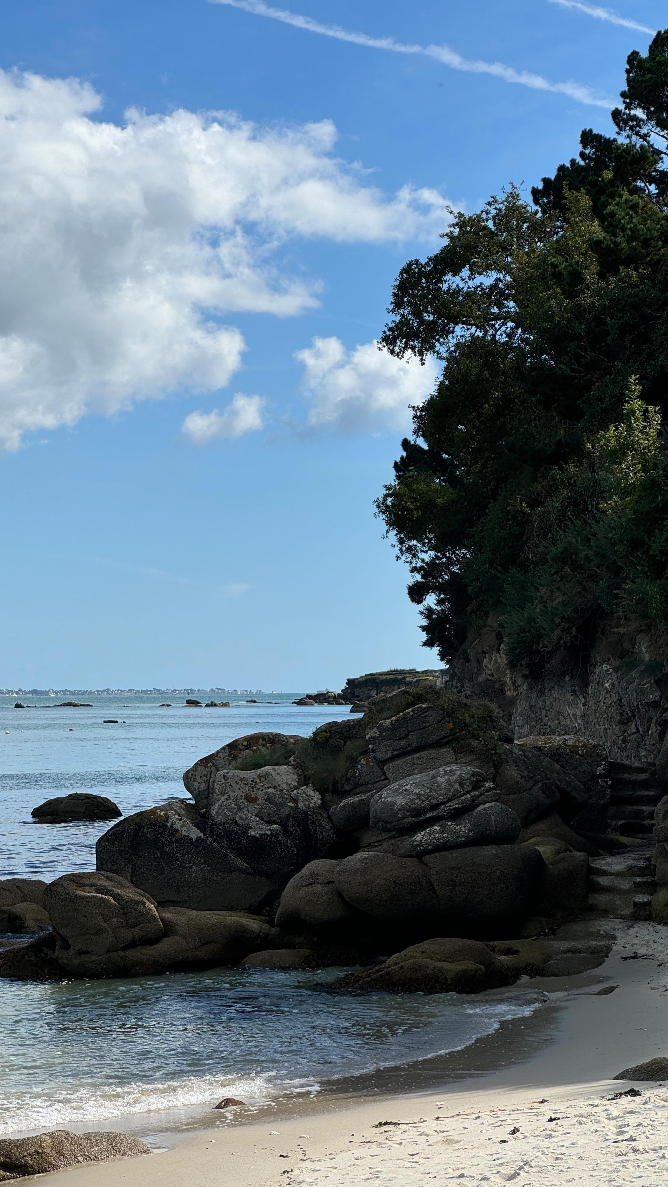 Une balade à Beg Meil pour se ressourcer 🤍
Le vent rempli d’air salin qui vient te caresser le visage... C’est comme une petite pause pour l’âme
🌊
L’océan a ce don de nous apaiser et de nous redonner de l’énergie quand on en a le plus besoin.
« Ocean is the best place to heal and recharge »
c’est exactement ça ✨
Vous aussi, ça vous fait cet effet ?
#BegMeil #MomentsSimples #DouceurDeVivre #Ressourcement #BaladeCôtière #VibesMarines