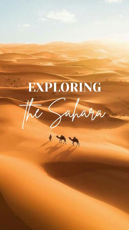 Venture into the heart of the Sahara and experience the magic of the Tunisian desert. From camel rides to salt lakes, it's a journey like no other. #SaharaAdventure #TunisianDesert #NomadicLife