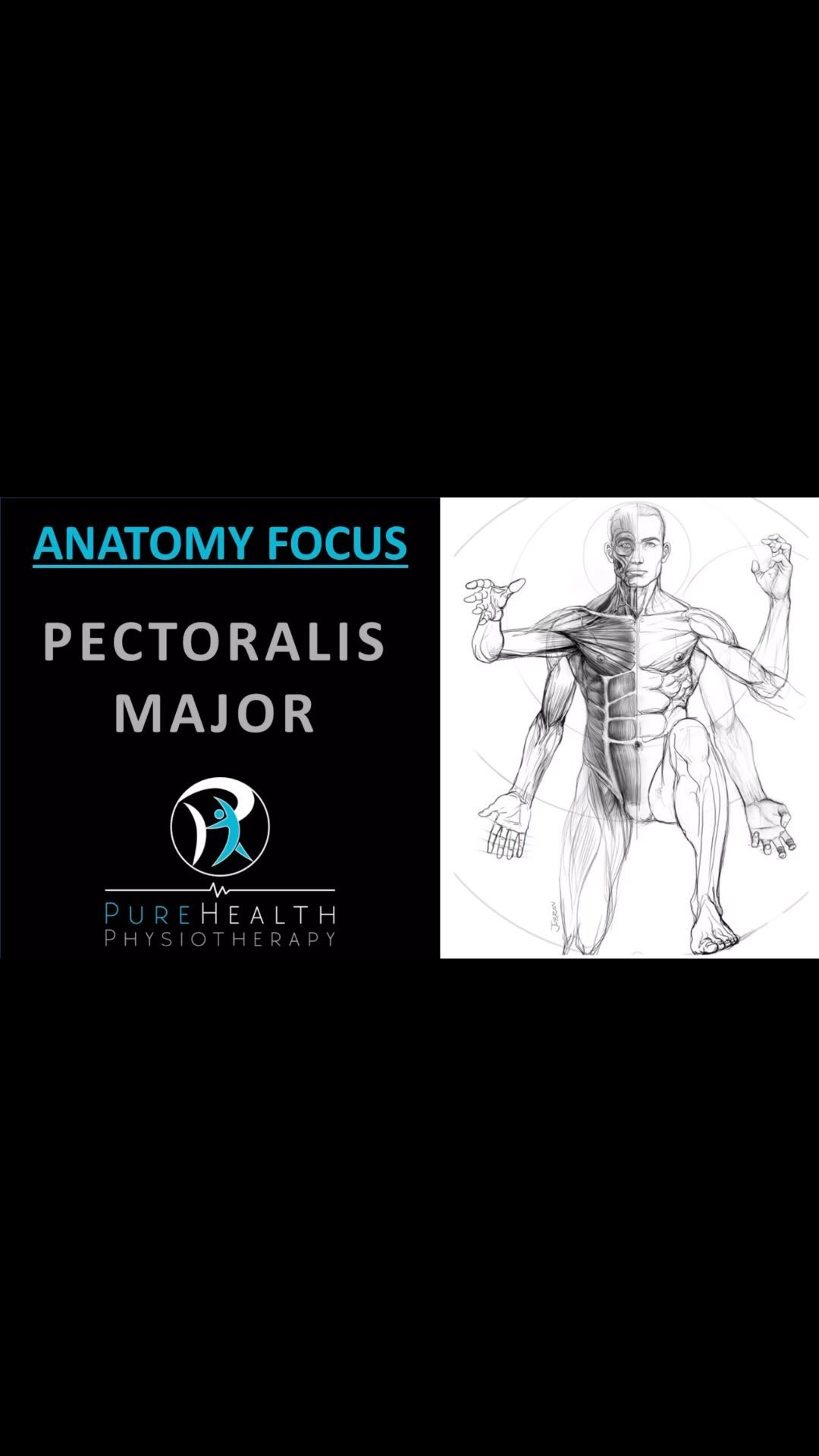 A deeper look into the Pectoralis Major muscle, encompassing attachment points, nerve/blood supply, actions, and relevant exercises.
👇🏼For more information contact us on👇🏼
07443419973
Info@purehealthphysio.co.uk
www.purehealthphysio.co.uk
#physiotherapy #sportsrehab #sportsmassage #dryneedling #acupuncture #sportsmassage #pectoralismajor #pecmajor #health #anatomy #sunburyonthames #feltham #thegymsunbury #thegymfeltham #ashfordmiddlesex #stainesuponthames