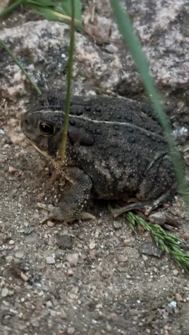 We’re Climbers Haul, we make all of our jewelry and products with trash we’ve collected on our travels. Follow if you want to explore nature with us! Happy trails!
#fyp #hiking #colorado #trails #smallbusiness #glassjewelry #climbershaul #calming #learning