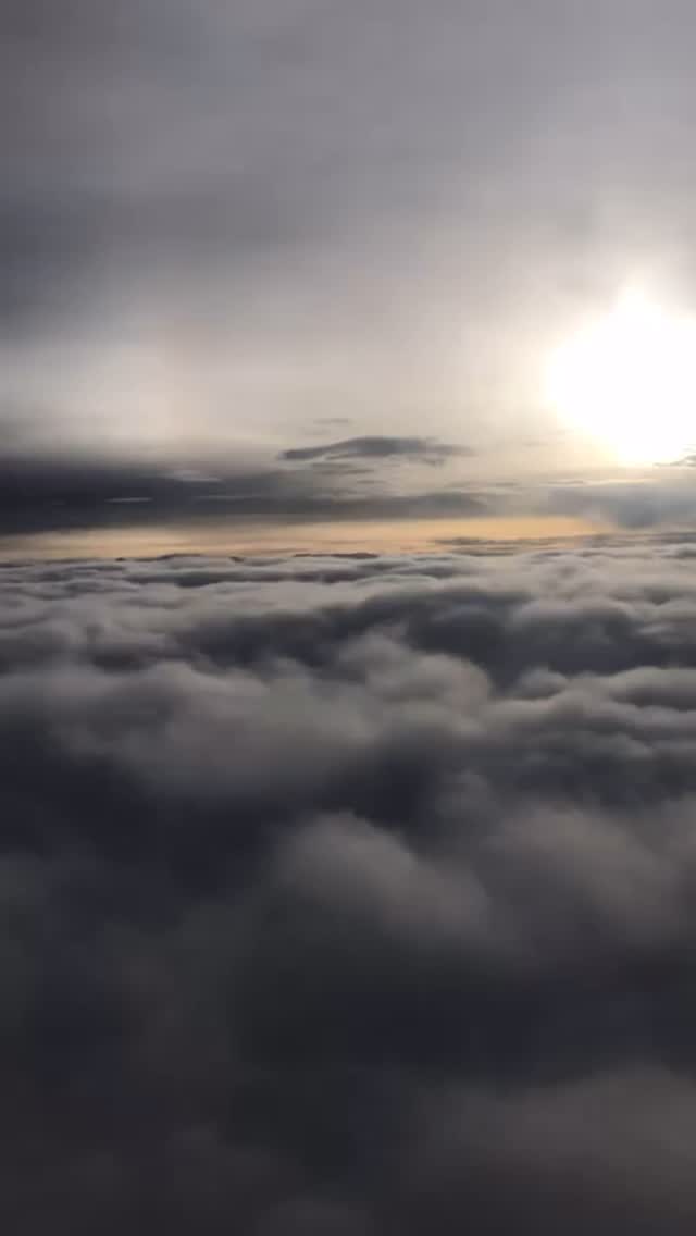 Plot twist? I am the plot twist. And I still don’t know what the plot is. 💀