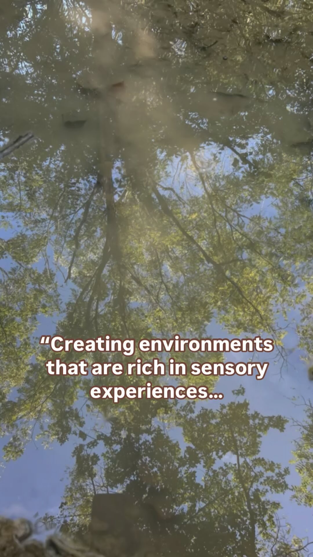 A sensory-rich environment is essential for fostering genuine engagement and connection. Creating an atmosphere that encourages exploration and interaction is so important.
This thoughtful attention to the curation of our environment helps the kids at Trailhouse feel more grounded and connected to one another and to the activities at hand. When people engage in a meaningful way, they leave not only feeling inspired but also part of a larger community. Ultimately, it’s this richness of experience that nurtures connections and well-being.
