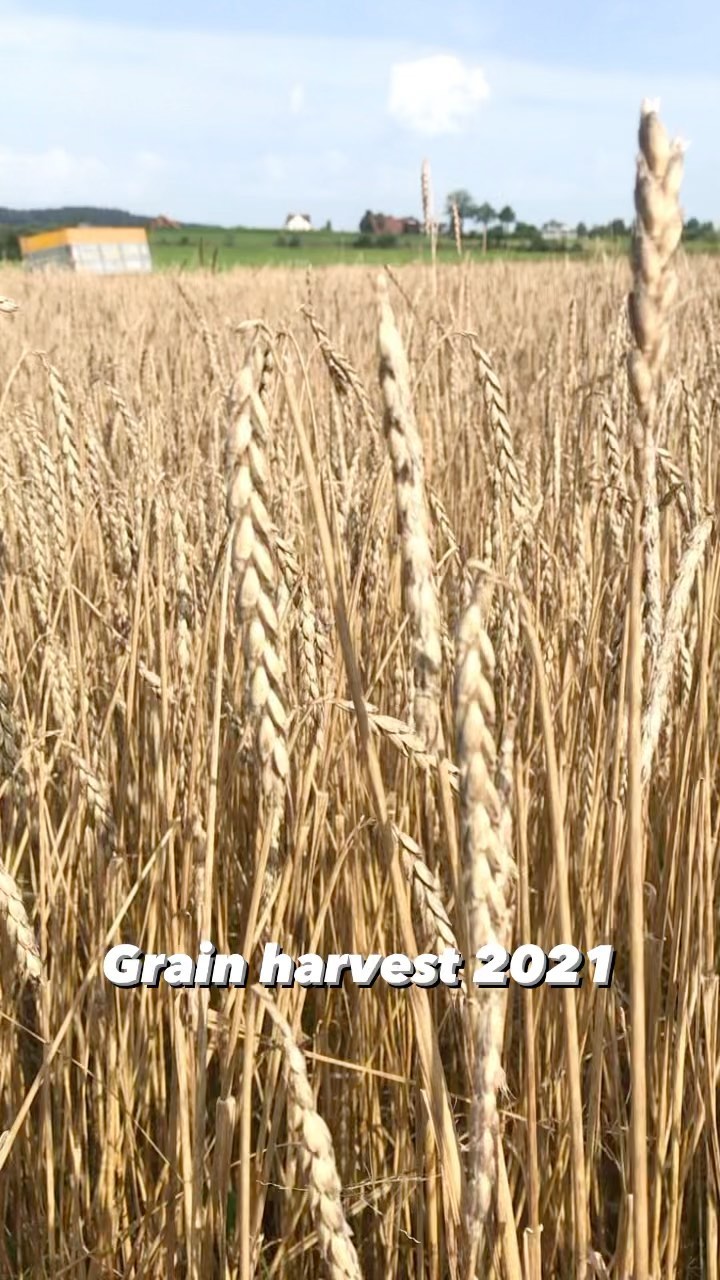 Old school machines technology💪🏻🚜