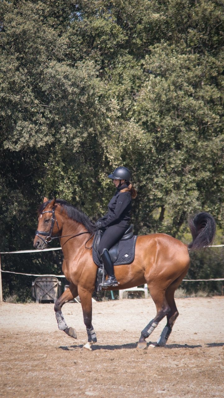 ✨ New Co Hv Polo ✨
Nous vous avons déjà montré les pépites Hv Polo de cet hiver en photo.
Voici aujourd'hui un aperçu des vestes en action 🤩
- Veste HvpPhoratia pour l'élégance à toute épreuve même en ville 🍁
- Parka HvpIsa pour être au chaud jusqu'au menton 🔥
- Veste technique HvpMia pour être discrète sans avoir froid grâce à son tissu technique 🌧️
Chaque détail a été pensé pour vous offrir chaleur, souplesse et élégance lors de vos sorties à cheval. 🐎
Les vestes Hv Polo vous protègent du froid tout en s’adaptant à vos mouvements, pour que rien ne vous empêche de profiter pleinement de chaque instant à cheval 💨🌲
Alors vous préférez quel modèle ? Dis nous en commentaire 🙌
👉 Disponible dès maintenant ! Découvrez la collection sur notre site art-equestre.com et en boutique.