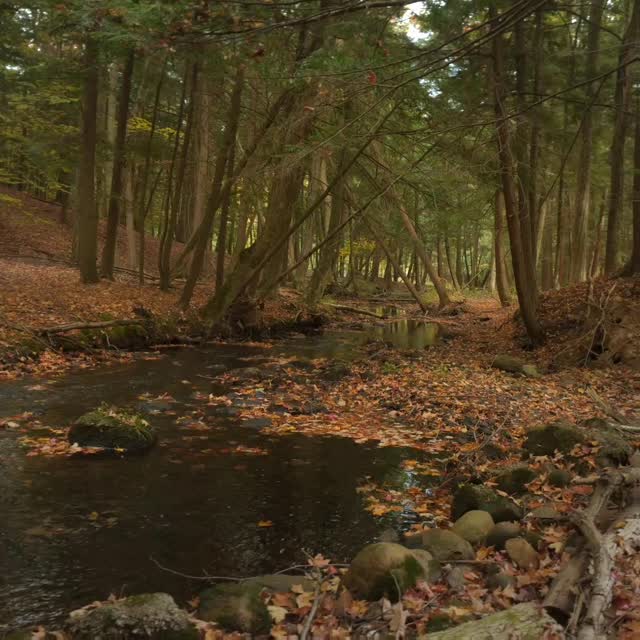 🍁🌲💧#washmycaresaway