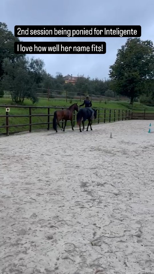 Inteligente gained a lot of trust and has improved so much already that I can't wait to see what the future holds 😍.