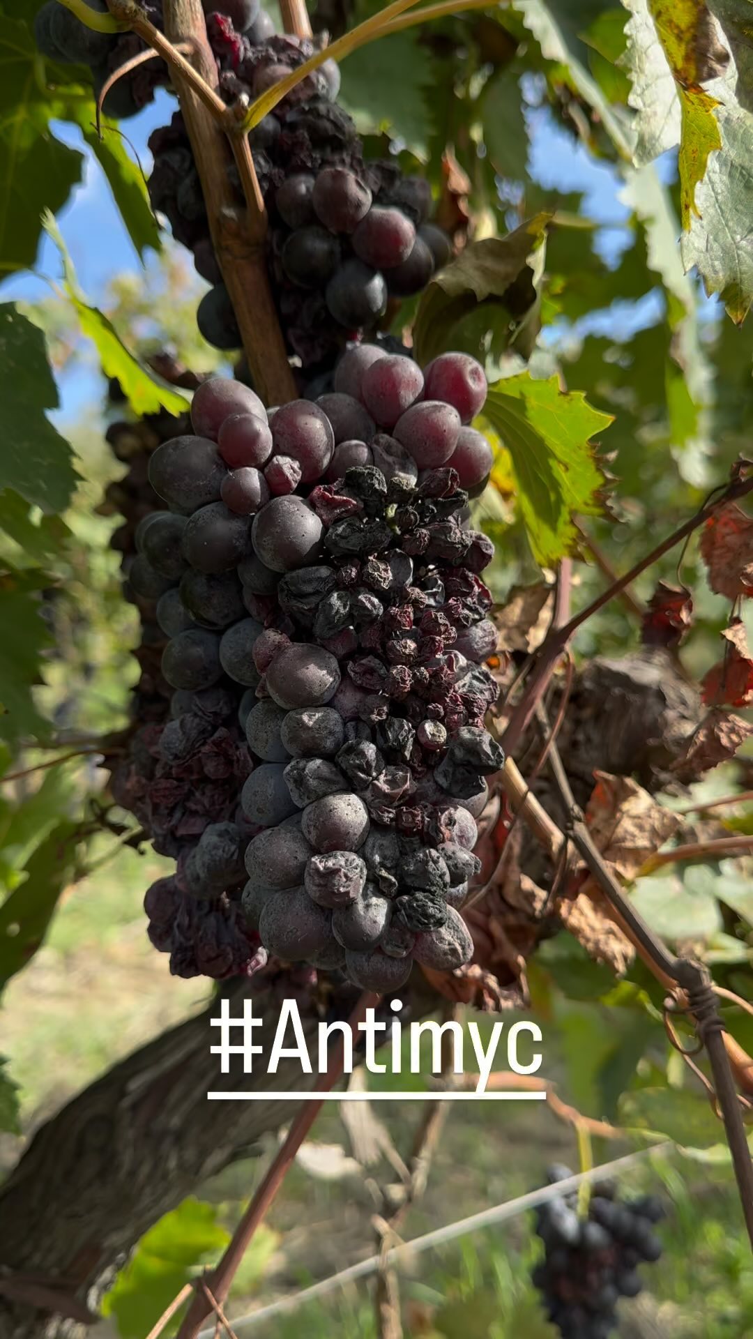 In 24h un ottimo risultato.