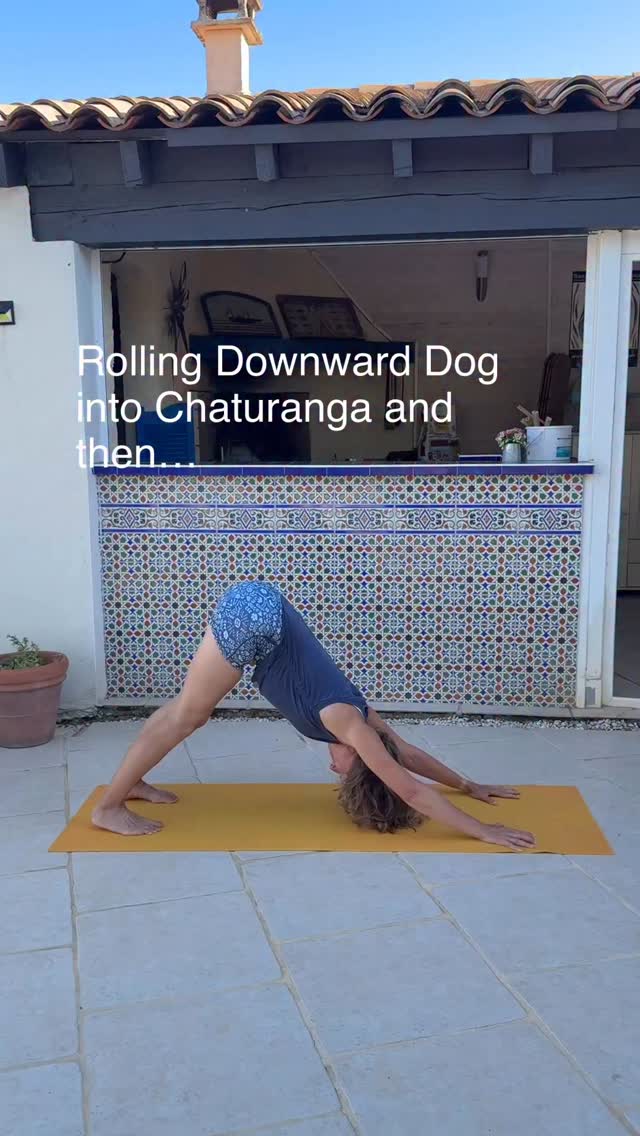 ROOT down to RISE up
✨Camatkarasana or Wild Thing Flow✨
Rather than the ubiquitous flow from Downward Dog straight into Wild Thing via a raised leg try this extended flow 👇
. Rolling Downward Dog into Chaturanga
. Lower all the way to the floor
. Draw one foot over the other leg
. Rise up into Wild Thing
Comment👇 if you have tried this.
I love the additional elements here which enable Wild Thing pose (an expansive front body stretch) to come from a place which feels grounded, connected and solid.
Wild Thing allows a great front body stretch and opening, engages the glutes and strengthens the posterior chain.
🎬 in gorgeous VilleMoustaussou, Carcassonne France by my daughter.
What are your favourite ways to explore entry into Wild Thing ❤️?
@laurenupsidedownorsideways @clare_bond_yoga @geeoice_yoga @_laurayoga @getfit_whit
#yogafrance #londonyogateacher #wildthing #creativeyoga #movementpractice #backbending #yogainfrance #yogasequence