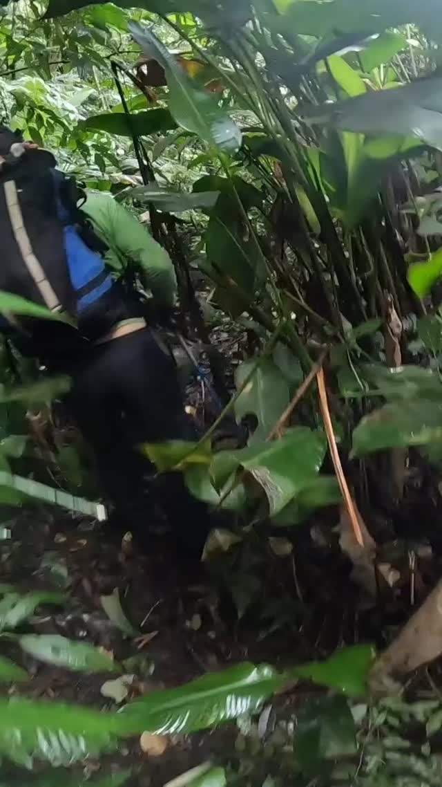 No silêncio da escalada, encontramos a voz da montanha.🧗♂️🌿
O Morro da Mina não é só rocha. É história, desafio e memória. Cada agarra, cada passo, cada respiro fundo diante da parede — tudo nos lembra: escalar é conversar com a natureza em seu idioma mais antigo.
Neste ATM, subimos juntos. Não só com cordas, mosquetões e mochilas, mas com confiança nos parceiros, respeito pelos limites do corpo e da rocha, e aquela conexão que só nasce quando dividimos o mesmo horizonte.
A escalada nos ensina:
Paciência para ouvir o ritmo da pedra
Parceria que transforma estranhos em irmãos de cordada
Humildade diante da grandiosidade da Serra Geral
E no topo? Não há prêmio maior que o abraço coletivo, a vista que acalenta a alma e a certeza de que cada desafio superado fortalece nossas raízes.
Este vídeo é um pedacinho dessa magia. Dedico a todos que estiveram lá — e aos que um dia ainda virão. A montanha espera.
#EscaladaQueFicaNaAlma #MorrodaMina #ATM2025 #montanhismo #escalada #escaladaemrocha #escaladabrasil #climb #rockclimbing #escaladaesportiva
#RespeitoÉCordaSolta #ASGEM #camplife #trekking #trilhandoemsc #canionsdosul
—
Vídeo: @la_klano