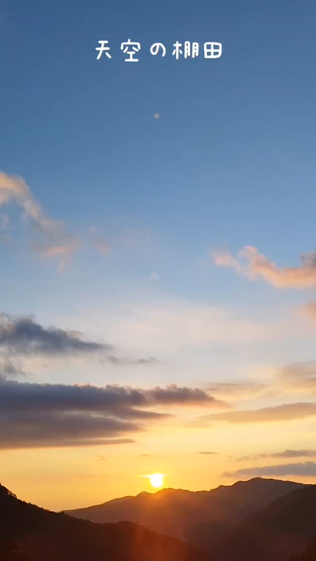 Just behind our home lies a quiet miracle—terraced rice fields floating in the sky.
A view that speaks to the soul, deep in the heart of Yame, Japan.
天空の棚田
家の裏に、静かに奇跡のように広がる棚田。
ここは、心に語りかけてくる八女の奥深く。
#SkyTeaHouse #EternalWingsVibes #TerracedFields #YameJapan #棚田のある暮らし #八女の風景 #天空の棚田 #田舎の奇跡 #JapanHiddenGems #CountrysideVibes