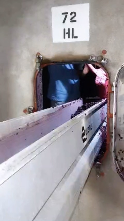 🍇 Premier décuvage du Merlot 🍇
Cette étape vient après la fermentation : il faut vider la cuve en séparant la partie solide (peaux, pépins, …) du jus obtenu à l’issue des phases de fermentation et de macération
#planetebordeaux #instapulpe #vendanges #bordeauxsuperieur #vin #vingeronsindependants #vignoble #hve #fermentation