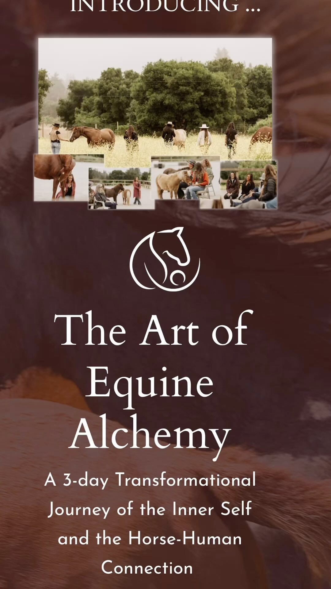 I’ll be selling botanical Wild Rags and Scarves at the Art of Equine Alchemy event at the Carmel Valley Trail and Saddle Club October 18th. If you’re a horse person interested in connecting with your horse in this way, make sure to get your spot.