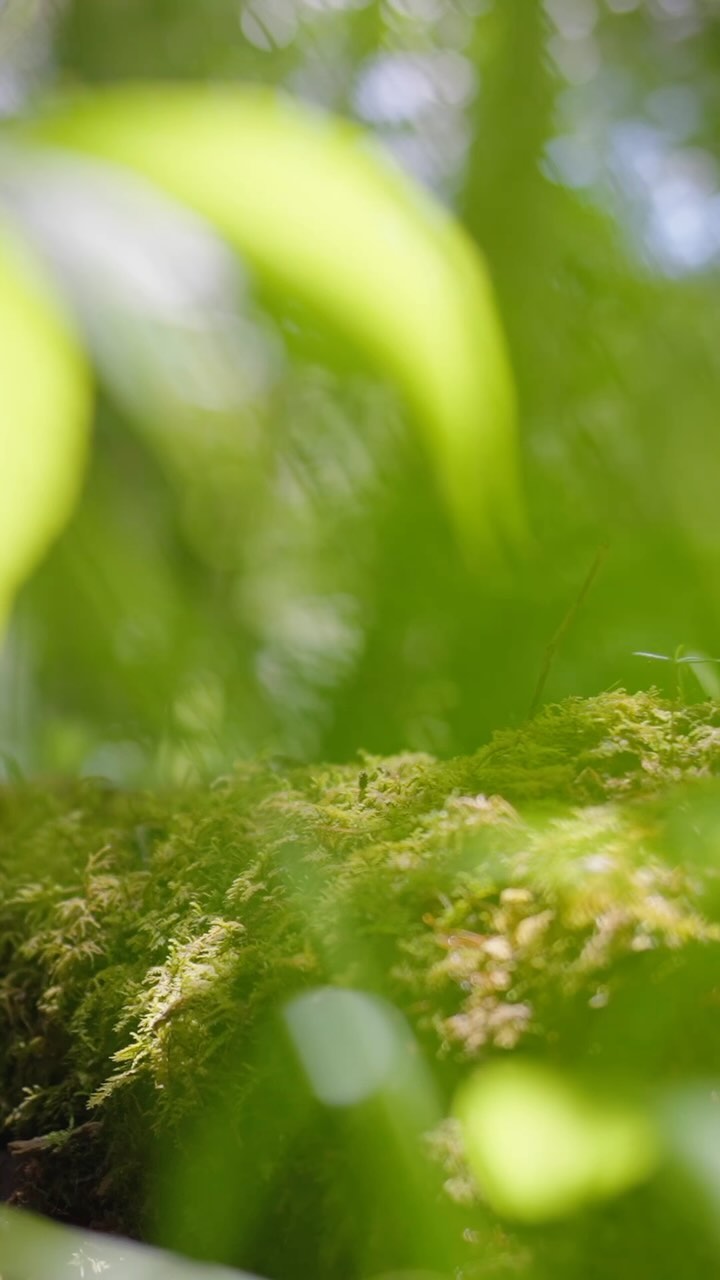 Sights and Sounds of June