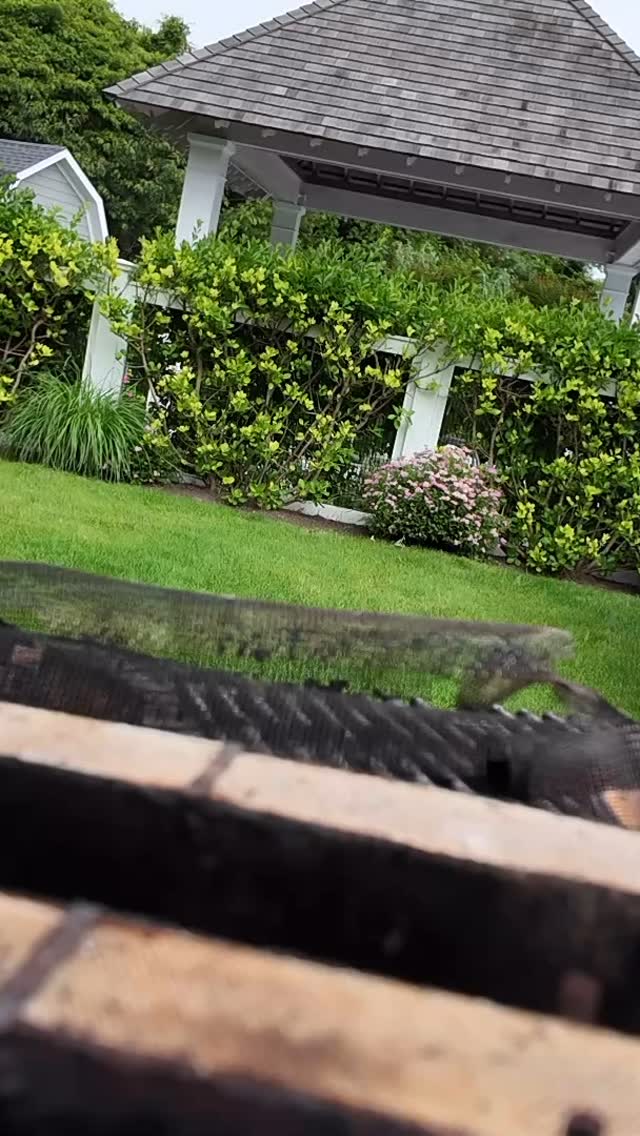 Time to get a new Trident Burner for you Lynx grill