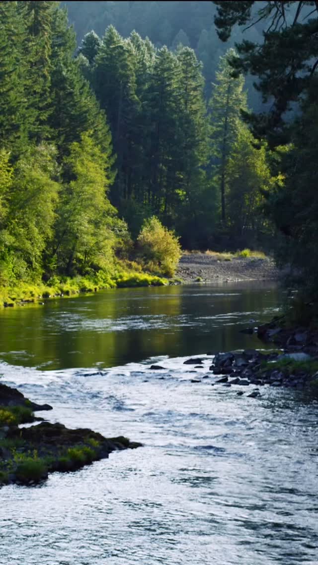 New Video! 🌲⛰️
Immerse yourself in the calming ambience of the North Umpqua River in Oregon — flowing water, forest birdsong, and peaceful surroundings.
Perfect for sleep, study, meditation, or simply breathing deeper.
🎧 Full video on our YouTube channel 💚
#NorthUmpquaRiver #NatureSounds #RelaxingAmbience #ForestVibes #Mindfulness #AmbientVideo #Naturescapes