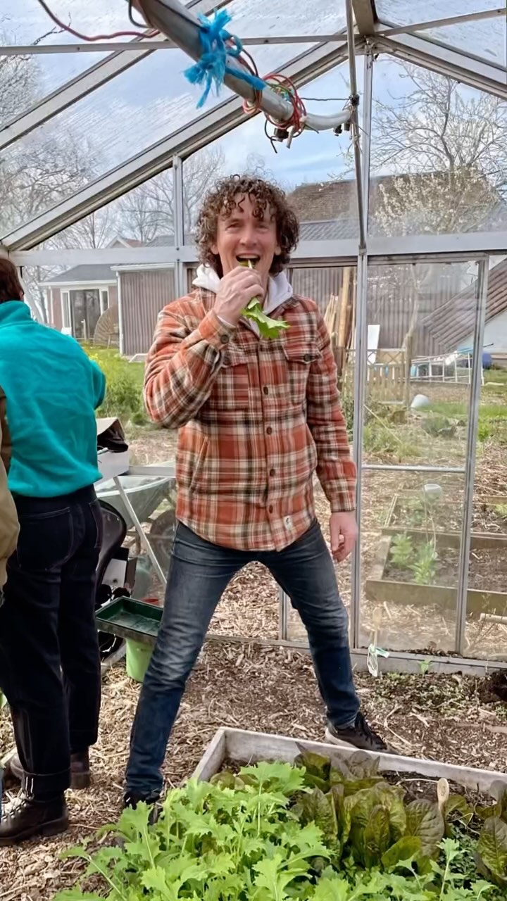 Voor de vierde keer organiseren @huize_blokland en @voedselbosje de 6-daagse Cursus Permacultuur.
Het zijn 6 vrijdagen van oktober tot en met mei. De cursus biedt interessante theorie en daarnaast zullen we veel met onze vingers in de aarde wroeten en de handen uit de mouwen steken 🙌 Elke cursusdag heeft 1 of 2 thema’s, zoals de 12 permacultuur principes; gezonde bodem; belang van biodiversiteit; verschil tussen permacultuur en klassiek moestuinieren, paddenstoelen en schimmels en voedselbossen. Daarnaast heeft elke les een praktijkgedeelte waar we iets gaan maken of bouwen wat je mee naar huis kunt nemen. Denk aan een wormenhotel of compostbak, paddenstoelen kweken, wildplukken, (je eigen) ontwerp(en) in de praktijk en mulchen. Een gastdocent komt alles over schimmels en paddenstoelen vertellen en we bezoeken een voedselbos.
Aan het einde van de cursus heb je uitgebreide kennis en ervaring om de permacultuur principes (in jouw moestuin, voedselbos of in je persoonlijke leven) in de praktijk te brengen.
Ben je erbij? Schrijf je in (en lees meer over de locatie, docent, data, etc) via de link in onze bio of een dm. Tot binnenkort!
#fungi #schimmels #paddenstoelen #zelfpaddenstoelenkweken #paddenstoelenjacht #oesterzwammenopkoffiedik #shiitake #workshop #cursus #permacultuur #moestuin #natuurboerderij #regeneratievelandbouw #regeneratiefboeren #cursuspermacultuur #permacultuurmoestuin #nodig #cardboardmulching #mulchen #moestuinieren #buitenleven #growyourownfood #moestuin