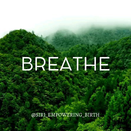 Breathe. Some days you could have the feeling there are gray clouds above you instead of a pink cloud. You can feel overwhelmed and exhausted during the postpartum period. All feelings are okay. Just take a deep breathe and take small steps everyday.
Know that you are not alone. Do you already have a team around you (family and friends) who can support you during the postpartum period? Sometimes it can be hard to ask for help, but by asking in an open and inviting way you give the opportunity for each one to give what they can.
In my online class Prepare your Postpartum I give you exercises for how you can ask for help during your pregnancy so that you can receive support during your postpartum period.
Send me a DM and see link in Bio for more info or access to the program!
#postpartum #birth
#pregnancy
#prepareyourpostpartum
#pypwithSiri