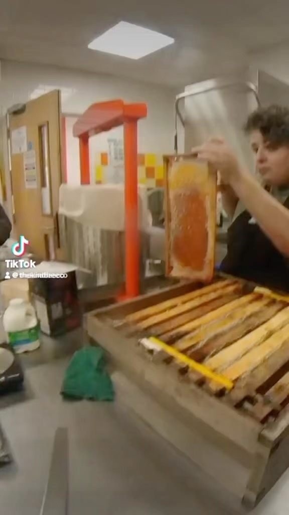 Sticky day experimenting with Heather extraction. @groundedcommunitycharity #bees #beekeeper #beekeeping #community #honeybees #honey #bee #heather #heatherhoney #heatherhoneycomb #sticky #stickybusiness #britishhoney #britishheather