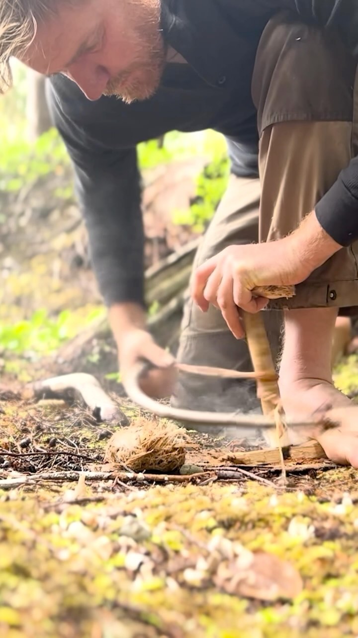 #Bowdrill #firemaking with all natural materials. #bushcraft #survival #primitivetechnology #7vswild #wildsurvival