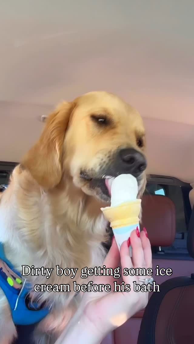 Texaco got to go to Home Depot with mom and dad! 🩷