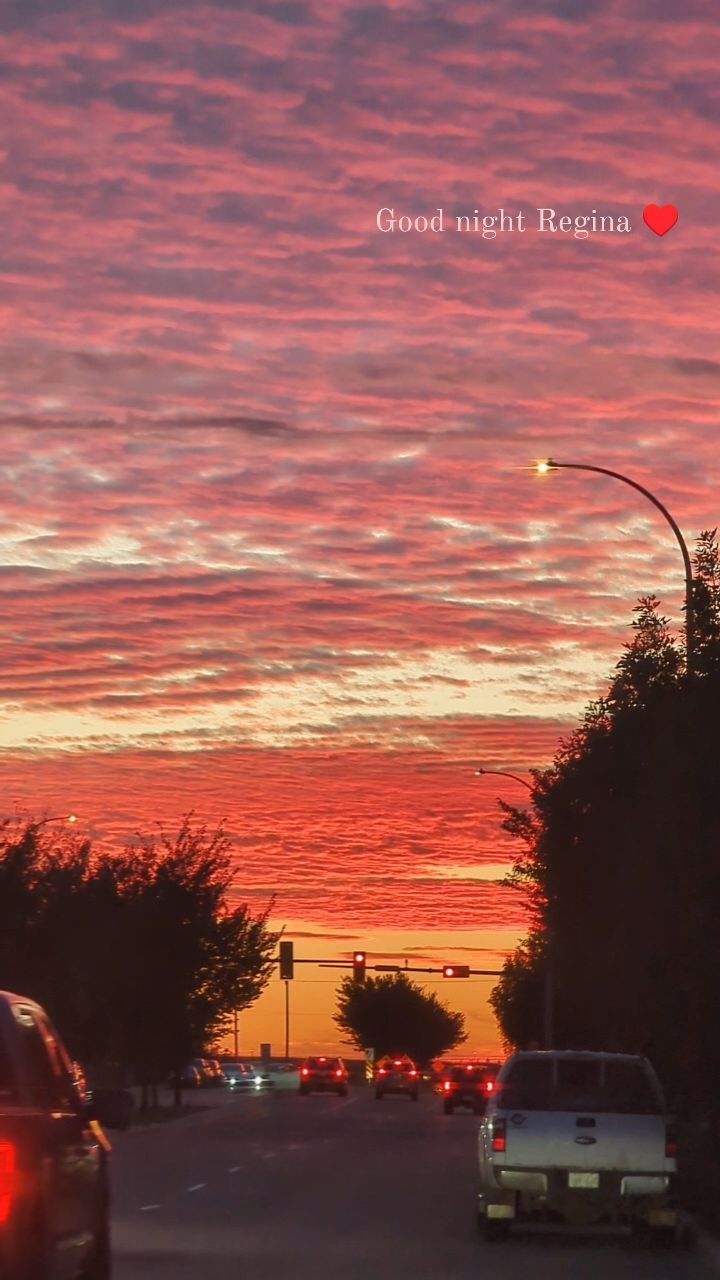 Good night Regina 💤🤗