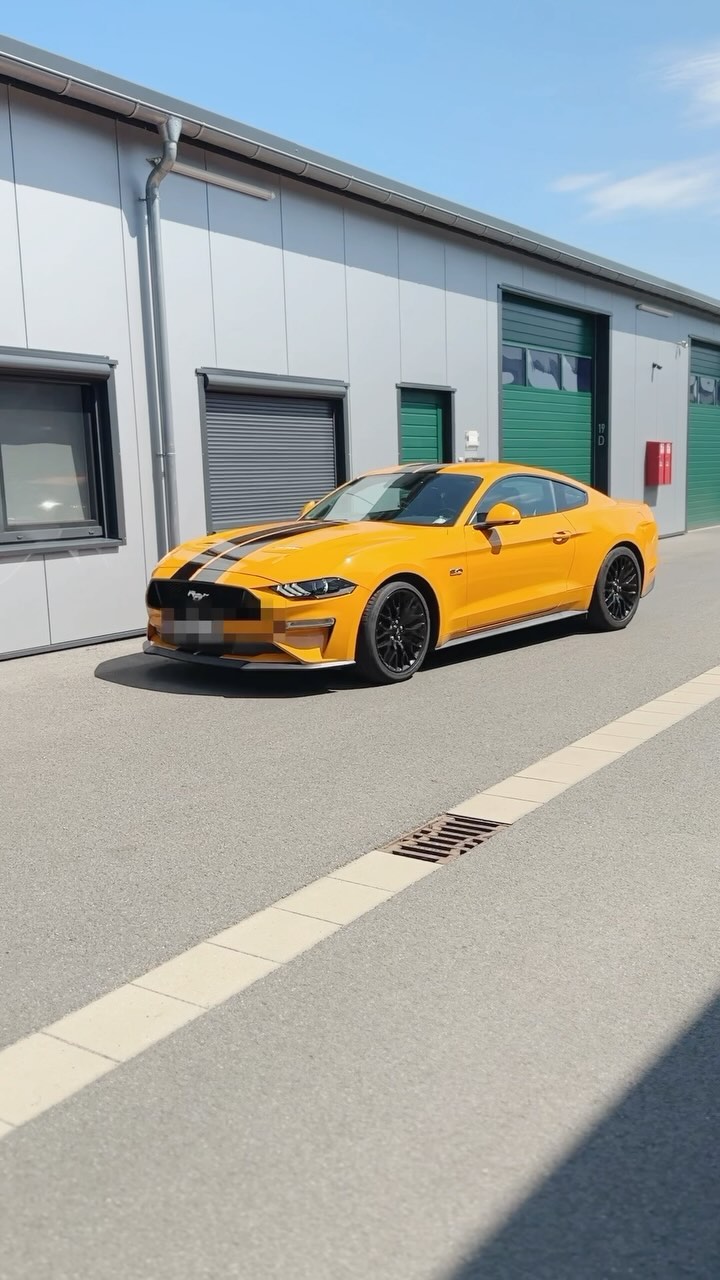 #fordmustang #folierung #folienstreifen #badoeynhausen #portawestfalica #minden #hüllhorst #bünde #kirchlengern #herford #hiddenhausen #löhne #vlotho