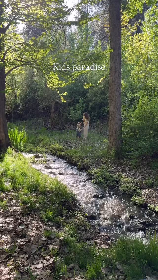 🌿 Green therapy
Les enfants n’ont pas besoin de mille artifices pour s’émerveiller, s’apaiser, se relier à eux-mêmes et au monde.
La nature est là, généreuse, vivante, toujours prête à offrir son spectacle.
🌱 Chez À hauteur d’enfant, nous accompagnons les lieux à repenser l’expérience famille avec sens et subtilité — loin des clichés, proches des besoins réels des enfants.
#GreenTherapy #KidsHospitality #ÀHauteurDenfant #KidsExperience #SlowHospitality #SlowLuxury