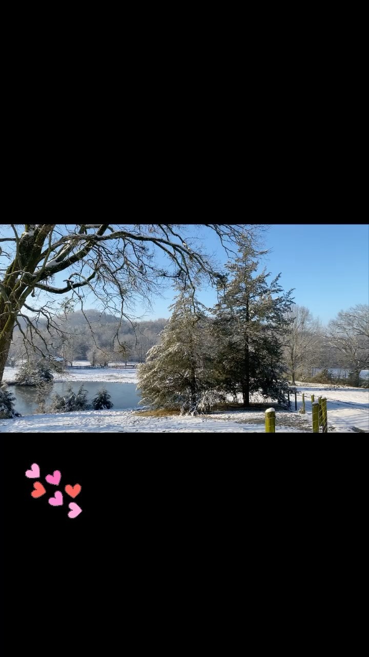 So blessed to live in paradise! #blazerfarm #homesweethome