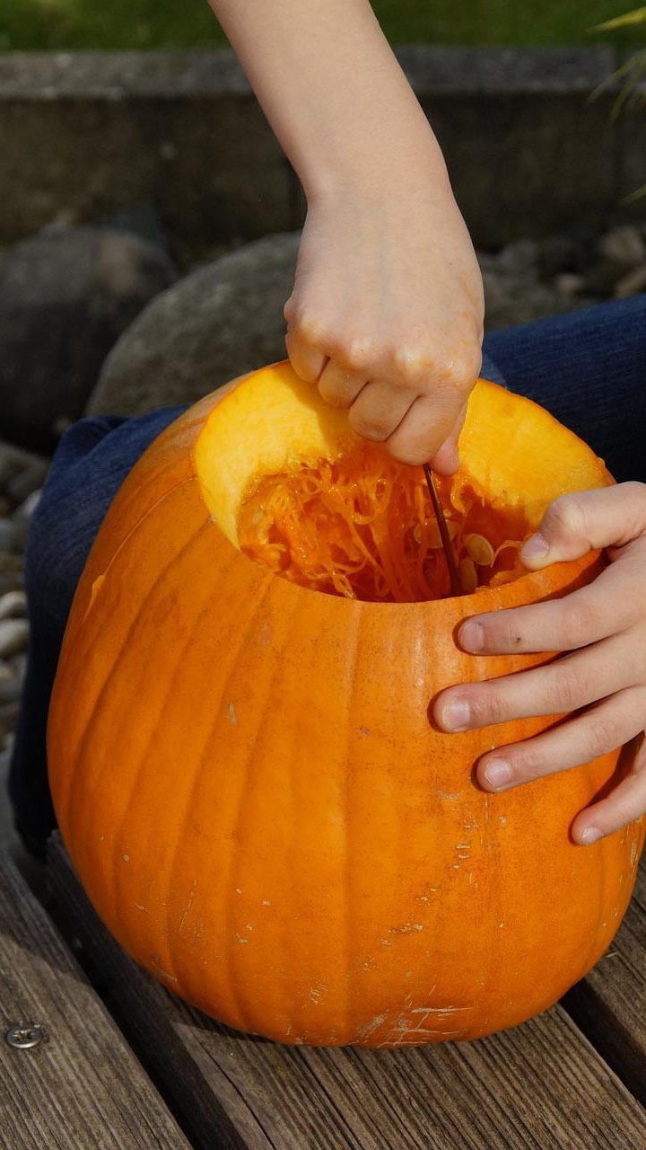Unsere kleinen Kürbisse ganz groß in Szene gesetzt! Ein herzliches Dankeschön an das Team vom @bayerischer_rundfunk für den tollen Beitrag. 🧡🎃
Bist du noch auf der Suche nach leckeren Kürbissen? In unserem Hofladen findest du von Donnerstag bis Samstag, 09:00 - 19:00 Uhr, eine große Auswahl. Außerdem gibt es unsere Kürbisse an vielen Verkaufsstellen in den umliegenden Ortschaften zur Selbstbedienung.
#bio #regional #Superfood #vegan #biozertifiziert #gesund #vitamine #franken #foodphotography #heimatliebe #kauflocal #eisen #familie #aronia #likör #saft #deutschland #startupbusiness #nachhaltig #supportsmallbusiness #supportyourlocal #sanddorn #kürbis #geschenkideen #trockenbeeren #familienbetrieb #nachhaltigkeit #trüffel #hofladen
