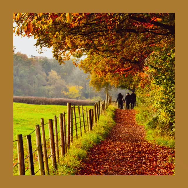 🍂🍁🍂Hoera! Herfst is hier!🍂🍁🍂
🍄 Boek nu een overnachting tussen 21 september en 18 december en geniet deze #herfst van 15% korting op de nachtprijs van een van onze appartementen.
🍄 Verblijf je een heel weekend dan komt daar nog een 15% korting bij.
🍄 En verblijf je een midweek, dan ontvang je een extra korting van 20%
🍂🍁🍂Hurray! Fall is here!🍂🍁🍂
🍄 Book now between September 21 and December 18 and enjoy this #fall with a 15% discount on the nightly rate of one of our apartments.
🍄 If you stay for a whole weekend, you will receive an additional 15% discount.
🍄 And if you stay for a midweek, you will receive an additional 20% discount
#sintpietersvoeren #vakantiehuisvoeren #beautifulview #wandelparadijs #naturelover #natuur #voeren #limburg #voerstreek #wandelen #hardlopen #fietsen #millefleurs #vakantiehuis #vacation #rentapartment #vakantieverblijf #vlaanderenvakantieland #ilovelimburg #altijdlimburg #belgium #netherlands #visitlimburg #wanderlust #bronnenwandeling