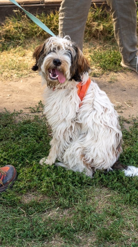 Sommerfest Throwback
Wir erfreuen uns immer noch an den tollen Fotos von unserem 25. Geburtstag. Schön, dass ihr diesen Tag mit uns gefeiert habt.
Danke @blumenwort_film für die schönen Bilder.
#aktivspielplatz
#InstitutFürErlebnispädagogik
#sommerfest
#rennbahnweg
#SoEinSchönerTag