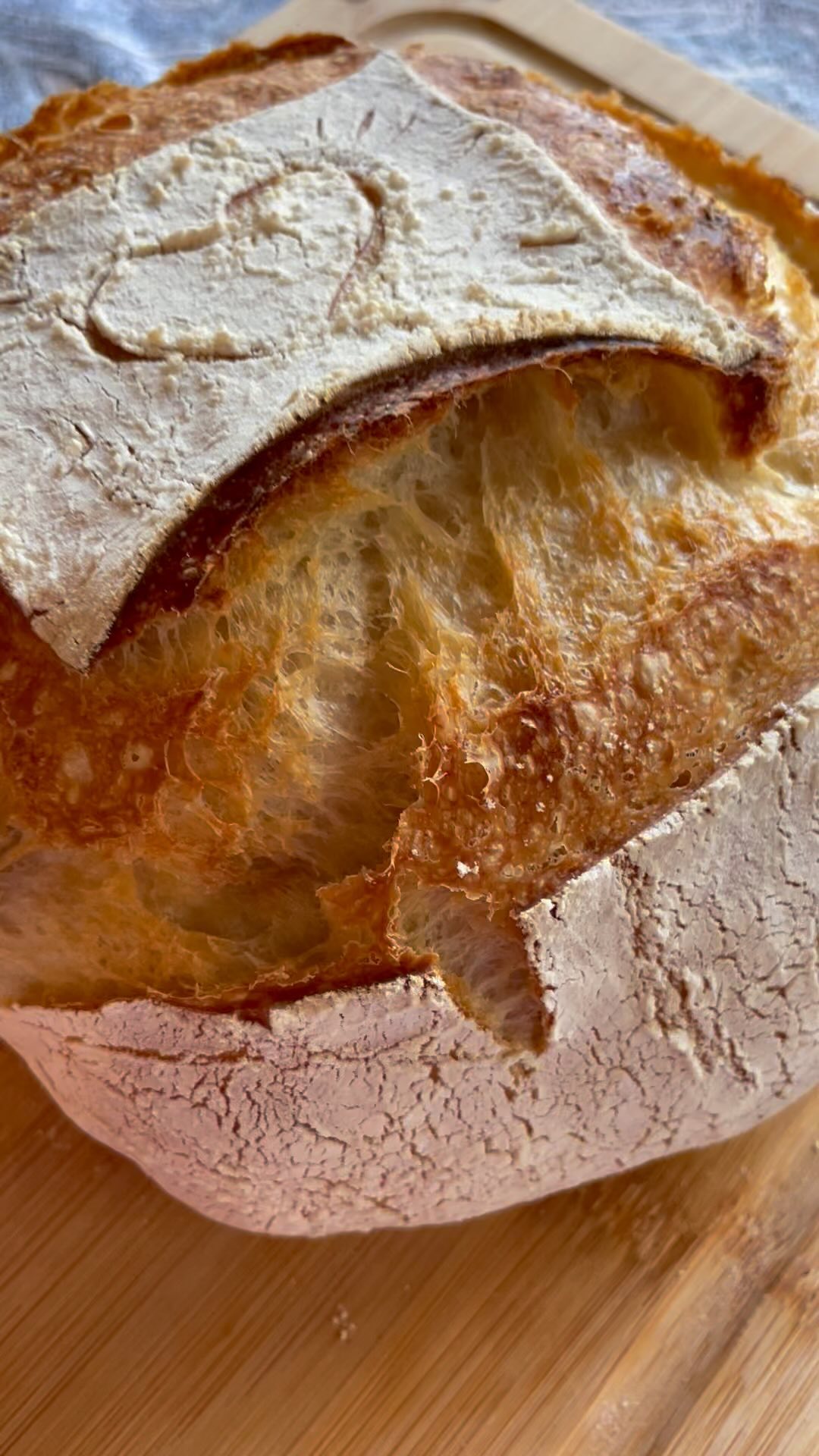 Sending love from my sourdough paradise 🫶🏼💛 Order yours today - dm me for order info!
#homemadebread #sourdough #sourdoughbread #artisanloaf #artisanbread #sourdoughbakery