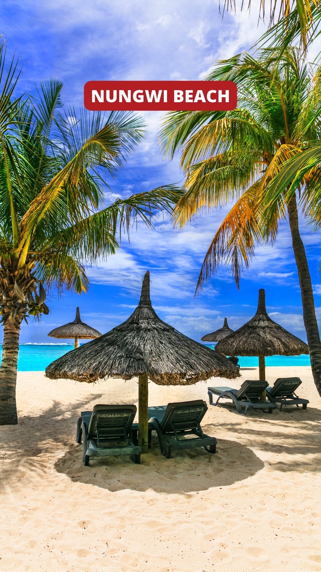 Island vibes and endless adventures 🌴✨ Explore the magic of Zanzibar with CND Travel, where paradise becomes your reality. 🏝️
#ZanzibarDiaries #CNDTravel #TropicalGetaway #travel