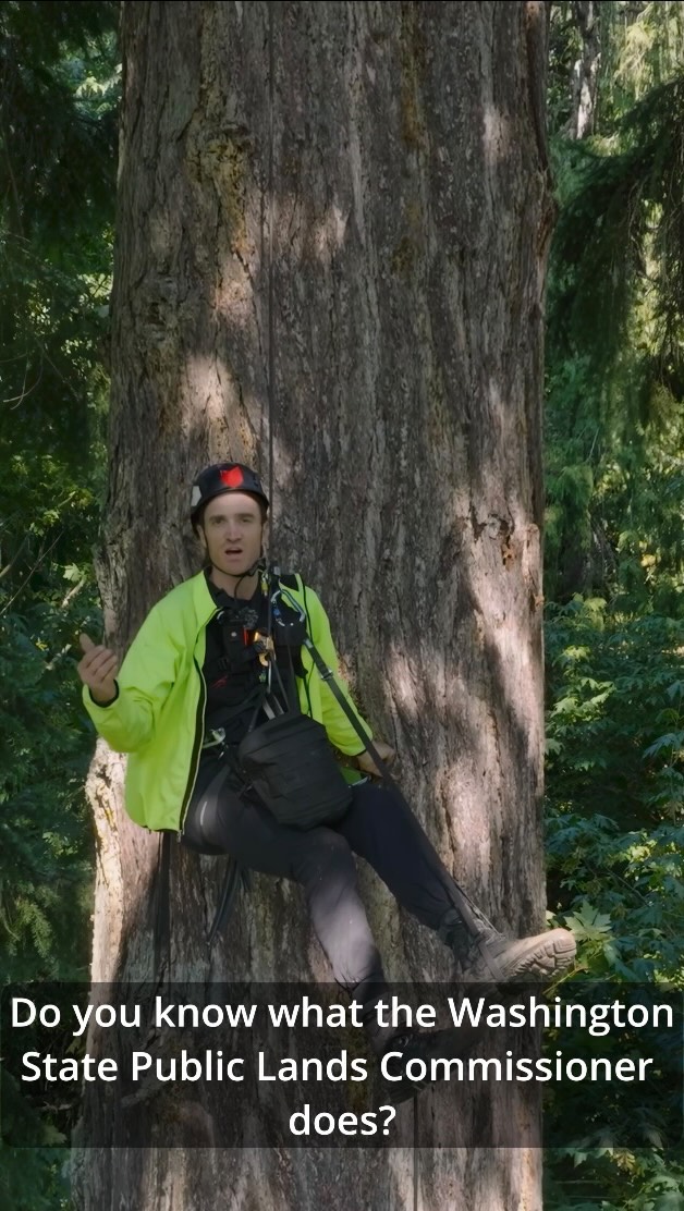 Last day to vote and turn in your ballot at the dropbox for the primary is August 6th!
This primary may be the most consequential election of all time for the legacy forest movement. Please educate yourself about who supports legacy forest conservation, and encourage your personal networks to mail in ballots by August 6th!
Haven’t received your ballot? Register or update your voter reg details (address etc.) at voter.votewa.gov.