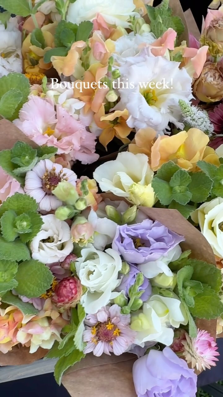 Bouquets this week! Come see us @provofarmersmarket