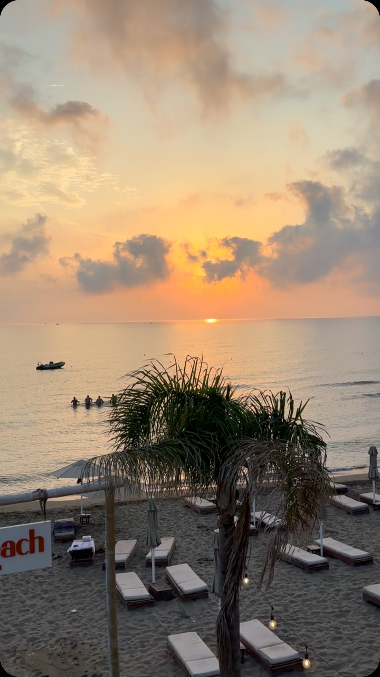 🌅 🏝️