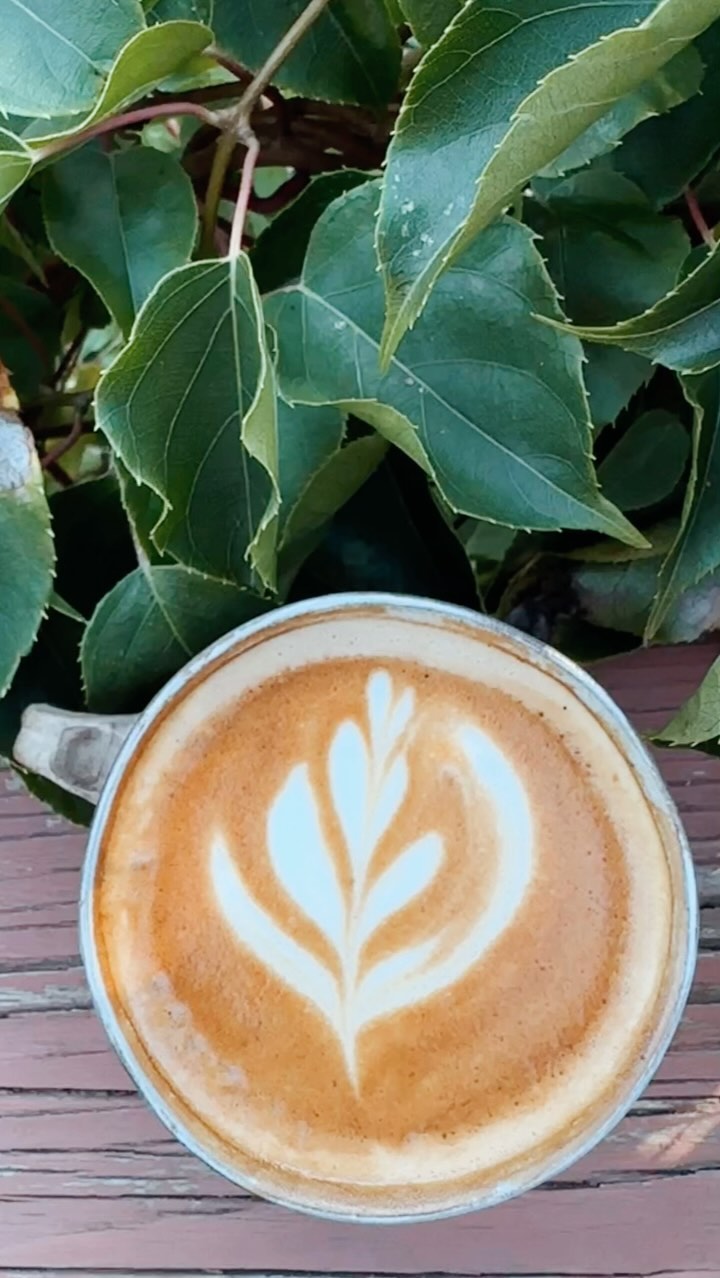 🍂🍄🟫 Seasonal hours & operations update: Our amazing staff will be on vacation and helping around the bakery with renovations during our semi annual shoulder season hiatus starting October 21st - November 11th. 🍄🟫🍂
What can you expect in the meantime? The same great adventure fuel, slightly shortened hours- weekdays: 7 am - 2 pm.
Until the snow flies, that’s the program! ☃️🤙🏻
We have so much to look forward to when we reopen! From new merch to events, maybe you’ll even notice the things we plan to spruce up! 🌲
☕️🎿 Stay tuned in, we’ll announce hours/operations expansion as the seasons shift. This winter is gonna be a good one! ❄️🏂
And last but not least- a big thank you to everyone who made this summer RAD ! From early morning sunrises in the parking lot to dancing the afternoon away in the garden, we couldn’t be more grateful for GLACIER and our WONDERFUL team❤️🔥🏴☠️
#glacierwa #wakenbakery #mtbaker #eatlocal #gratitude #supportsmallbusiness #shopsmall #shoplocal #wakenbakeryglacier