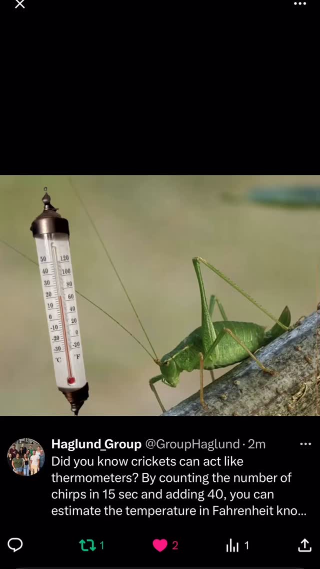 Did you know that crickets can help you estimate the temperature just by chirping? 🦗 According to Dolbear’s Law, if you count the number of chirps a cricket makes in 15 seconds and add 40, you’ll get a close approximation of the temperature in degrees Fahrenheit! This surprising discovery was made back in 1897 by physicist Amos Dolbear, and it works because a cricket’s chirp rate increases with temperature. So next time you’re outdoors on a warm evening, try listening in — nature might just give you the weather report!
Reference: https://www.noaa.gov/education/explainers/can-crickets-tell-temperature-answer-is-in-their-chirp
#Cricket #temperature #funfacts #funfactfriday #funfact #scientificfacts #hawaii #universityofhawaiiatmanoa #uhm #universityofhawaiia #uh #science #researchgroup #haglundgroup #drhaglund