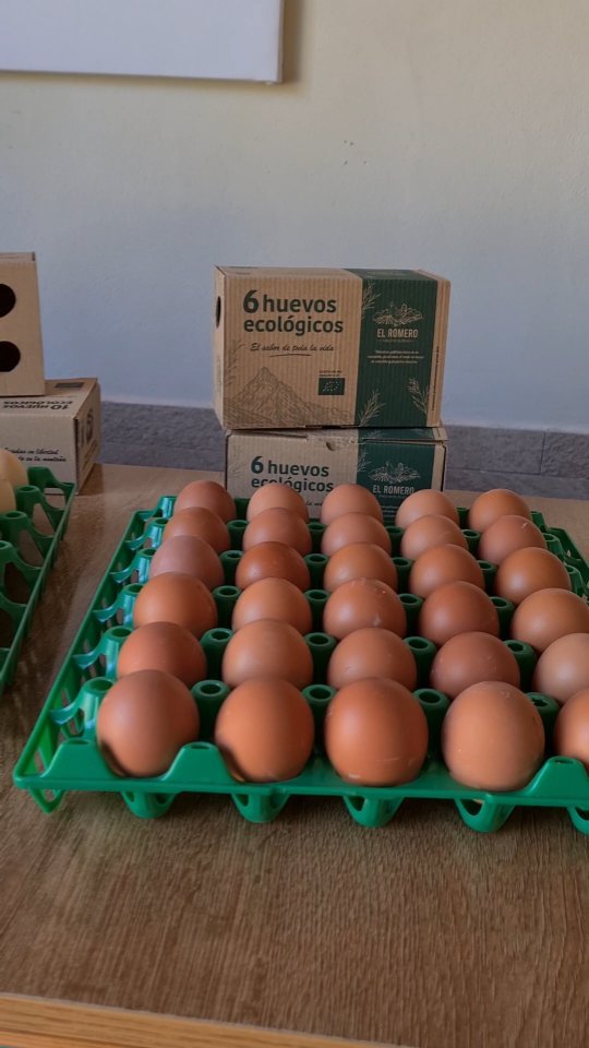 Cuando consumimos productos ecológicos y de cercanía estamos contribuyendo, no sólo a el cuidado del medio ambiente, sino también al desarrollo del comercio local, que en los últimos años está desapareciendo a causa de las grandes superficies.
Esa sensación de entrar al pequeño comercio, donde te conocen y saludan al entrar, conocen tus gustos, te recomiendan productos, puedes tener una conversación con el dueño... todo eso lo estamos perdiendo.
Además, al consumir estos productos, estas cuidando de tu salud, al saber de donde proceden los alimentos y que no están tratados con químicos y pesticidas.
En un mundo rodeados de pantallas, intentemos que algunas tradiciones y formas de hacer las cosas no se pierdan.
En El Romero fomentamos todos estos valores, buscando tiendas locales comprometidas con ellos y con la venta de productos de su tierra. Puedes encontrar nuestros huevos ecológicos y de raza autóctona en varias tiendas.
#vida rural #huevosgourmet #huevosecologicos #comerciolocal #murcia #noroestemurcia #cehegin #bullas #caravaca