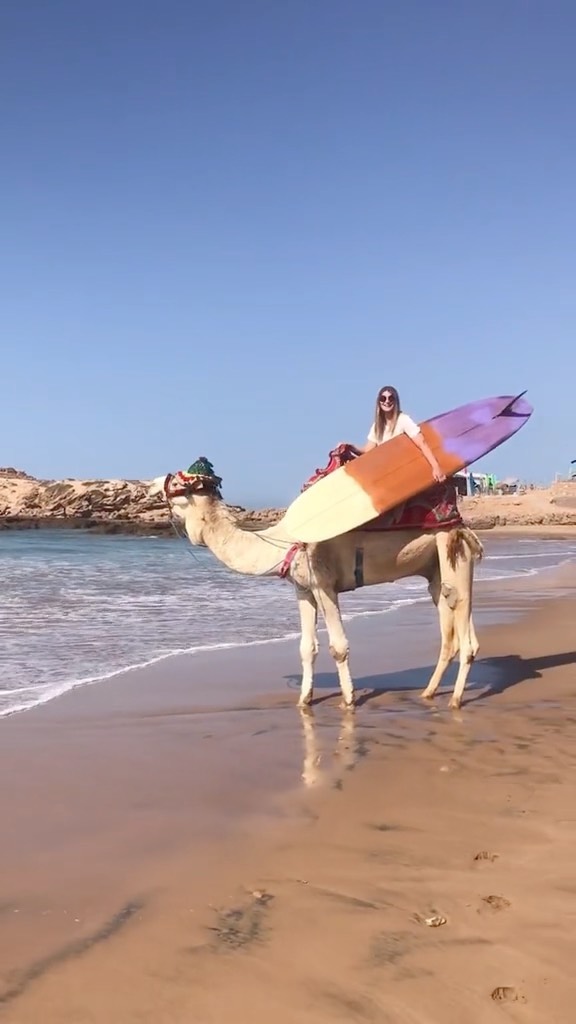 You know Franky? The co founder of Wave Gypsy?
@franky_wave_gypsy
#surfingmorocco #soultraveller #wavegypsy #endlesssummer