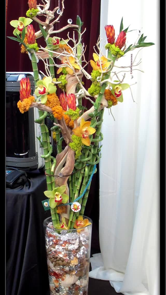 Forget what you thought you knew about lucky bamboo—this is not your office desk plant. 💚🔥 We’ve taken tradition, turned up the volume, and created a living sculpture that’s anything but ordinary.
With striking spirals of bamboo, fiery protea, lush orchids, and whimsical curls of driftwood and willow, this arrangement brings energy, elegance, and a little bit of magic. Nestled in a vase layered with shells, gemstones, and natural textures—it’s luck, elevated.
This is how you make fortune fabulous. 🌟
#TuBLOOM #LuckyBambooReimagined #FloralSculpture #DesignThatWows #BoldAndBotanical #CreativeFloristry #NatureWithEdge #ZenGlam #ProteaVibes #OrchidLuxe #FengShuiFlair #LuckyLooksGood #EventDesignInspo #BambooGlowUp #ArtInFlorals #StatementArrangement #LivingArt #ShellAndStoneStyle #VisualImpact #DesignDriven #TuBloomOriginal