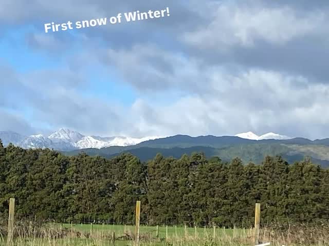 First snow! A little chilly out in the training paddock today. ❄️