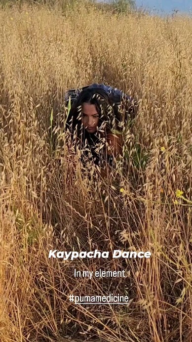 In my element, honoring puma medicine, keeping my eye on the path. Kaypacha. It's not enough to talk about the medicine. You have to be about it. No fancy video, smoke and mirrors, or media hype will ever come close to actually walking the path of your purpose. Puma medicine is about ACTION. Aqui viene lo bueno ✨️
This ancestral dance journey is a sacred blessing. It's la medicina that reminds us who we are and where we come from. I don't play on why I'm here. Adelante con mi sonqo de puma siempre ! 🙏🏽❤️✨️
*Here, I'm stalking while connecting, sharing and dancing with @dancing.earth Sharing more soon 🌻
#kaypachadance #curandera #pumamedicine #danceyourancestors #getyourbirthright #otorongo
#kachkaniraqmi #beaboutit #dancingthepath #divineassignment #idontplayaboutmypurpose