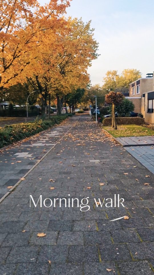 The best way to start a day. Walk around a bit and catch some fresh air. Nothing is more beautiful than the nature. It releases stress , and it helps you to start focused into your wonderful day ❤️🔥!
#yogainspiration #yoga #nature #naturelover #trees #walks #morningroutine #combinetowin #morningwalk #lifestyle