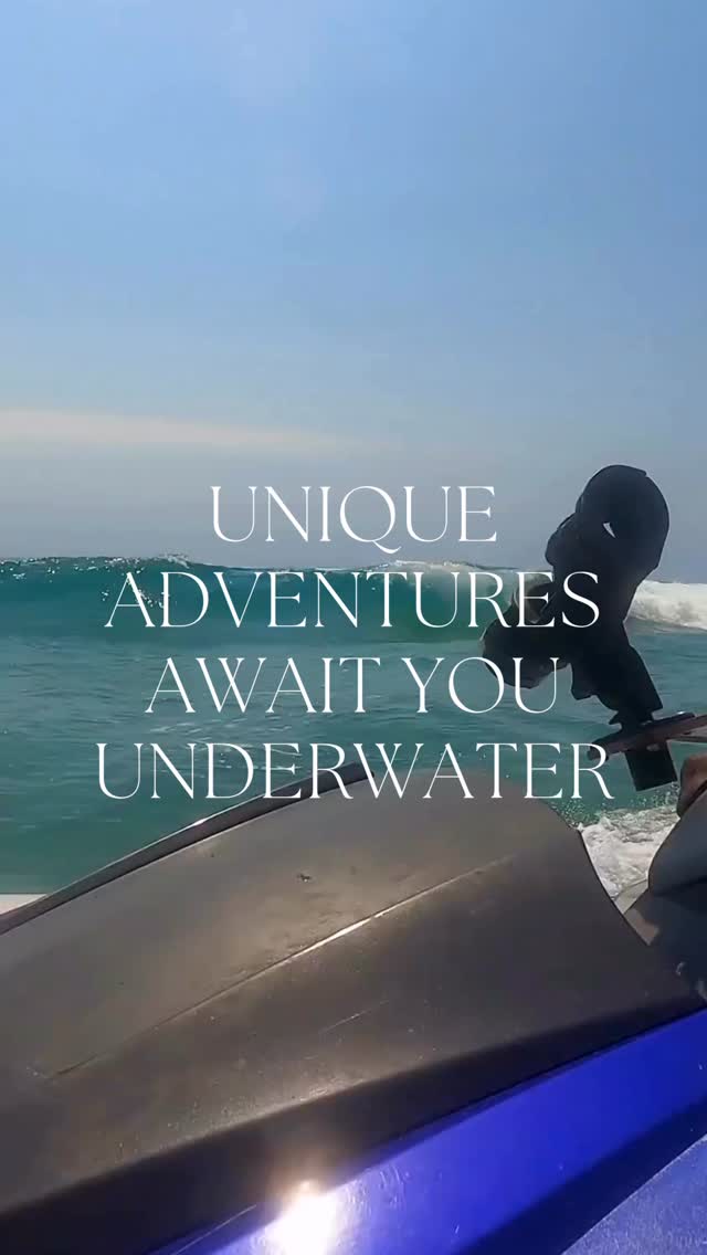 Anvil Bay - Underwater Adventures
#luxury #branding #reels #diving #ocean