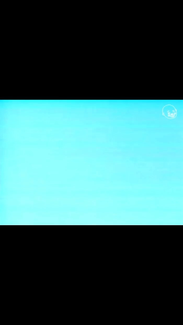 Jacket and Dresses on sale this week!