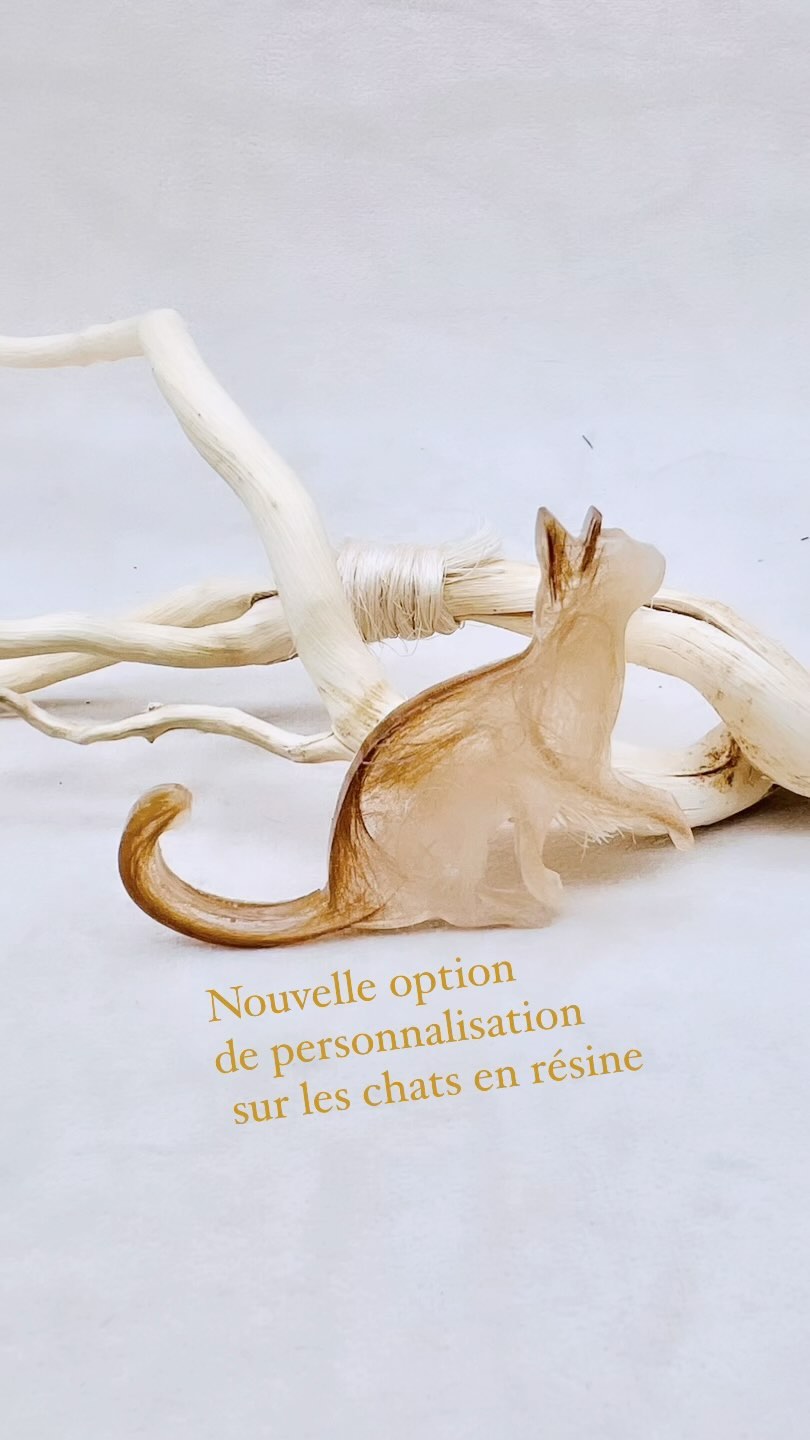 🐾✨ Découvrez mon petit chat en résine, créé avec amour à partir des poils de mon compagnon à quatre pattes. Cet objet personnalisé est bien plus qu’une simple décoration : il incarne la présence et la magie de mon animal, offrant réconfort et inspiration au quotidien. Un véritable porte-bonheur qui révèle la beauté et la profondeur de notre lien. 🌟🐱 #ArtisanatPersonnalisé #compagnonaquatrepattes#chatstory#resineepoxy