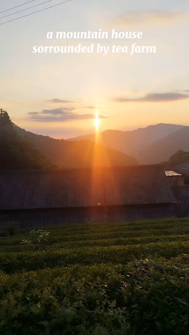 【Luxury of doing nothing】
Just wind, insects, and mountain silence.
Come reset your soul at our Sky Tea House.
#japantravel #hiddenjapan #slowtravel #digitaldetox #natureescape #fukuoka #yame #mountainretreat #soundofnature